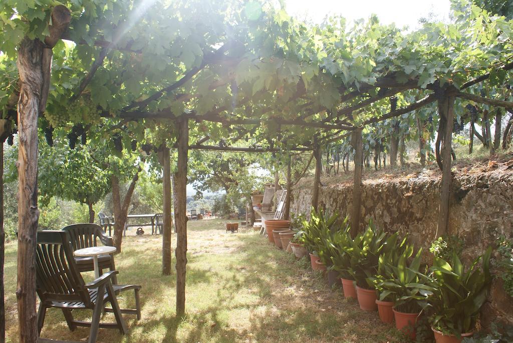 Casa Vacanze Porta Vecchia Montalcino Quarto foto