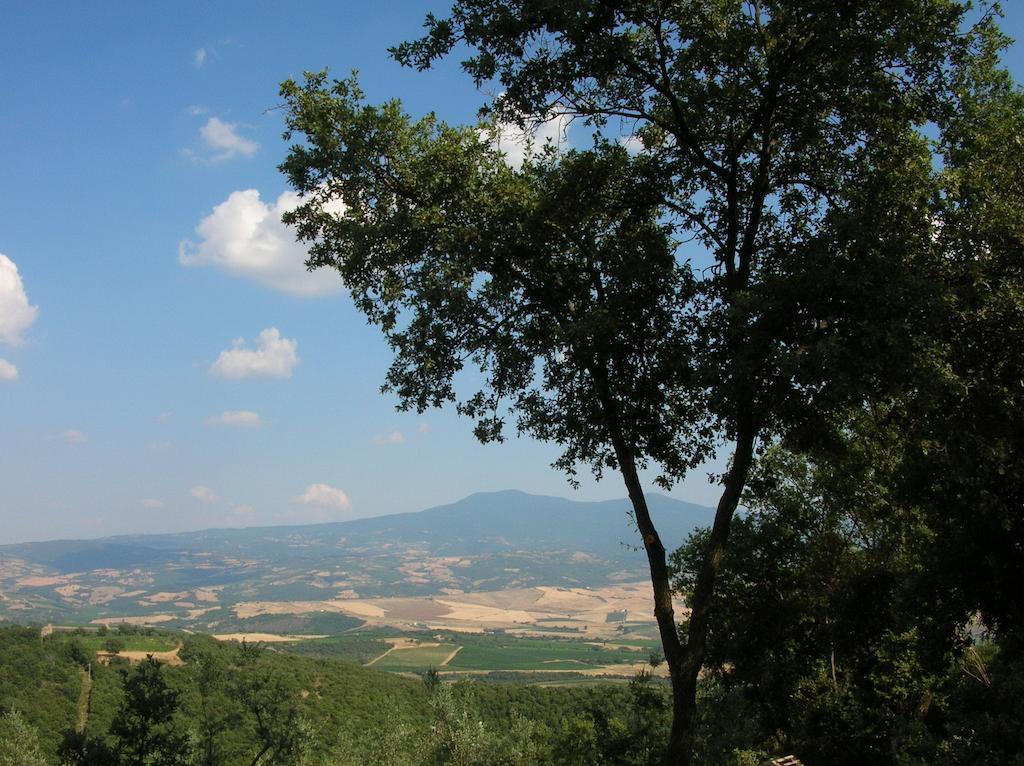 Casa Vacanze Porta Vecchia Montalcino Quarto foto