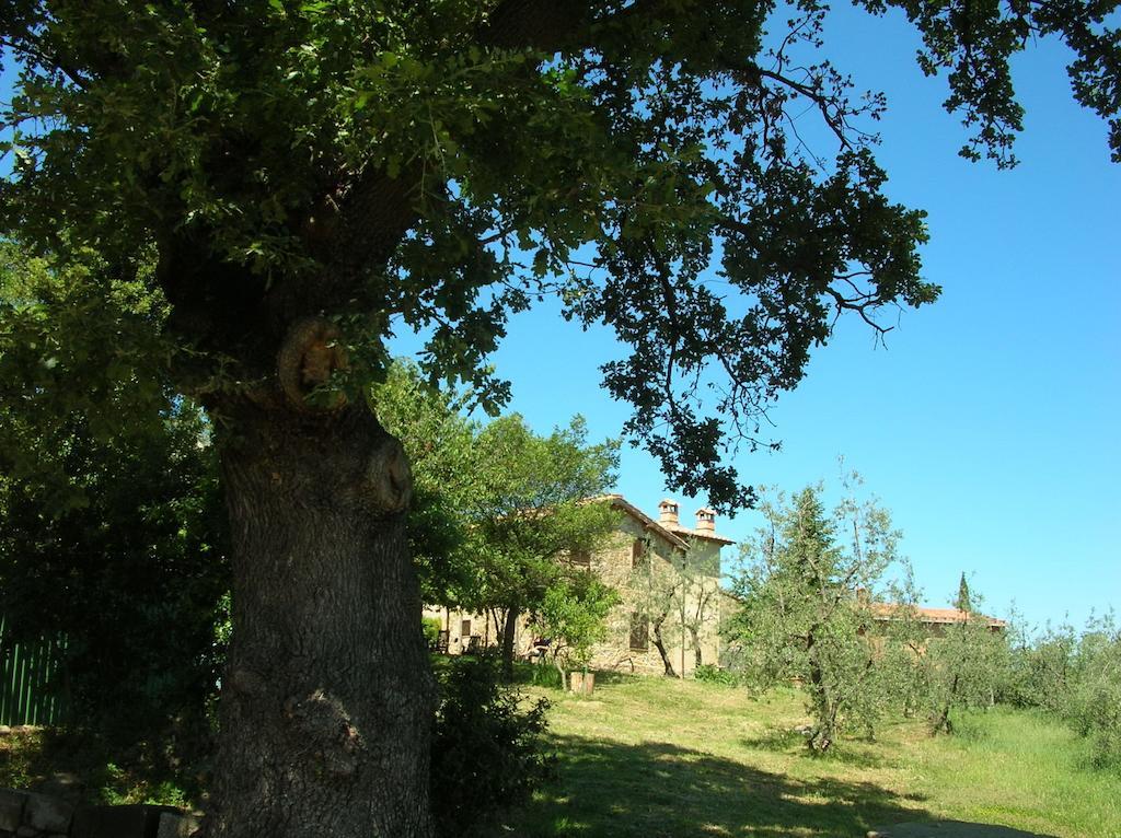 Casa Vacanze Porta Vecchia Montalcino Quarto foto
