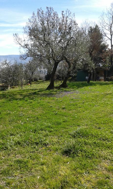 Casa Vacanze Porta Vecchia Montalcino Exterior foto