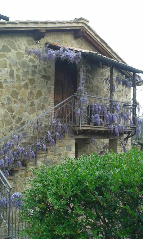 Casa Vacanze Porta Vecchia Montalcino Exterior foto